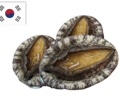 Bào ngư Hàn Quốc size 20-22