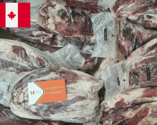 Bắp hoa Canada digital (NK)