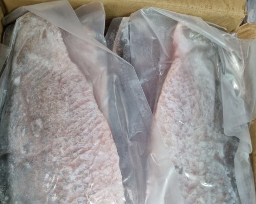Cá Chẽm Fillet size 600gr