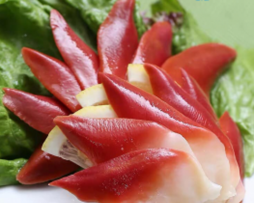 Sò đỏ Nissi - Nhật size 40 - 50 con